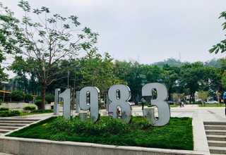 广州阳台种菜价格多少