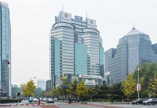 漳州硫氧镁净化板厂