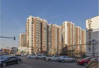 代理Tracepro下载