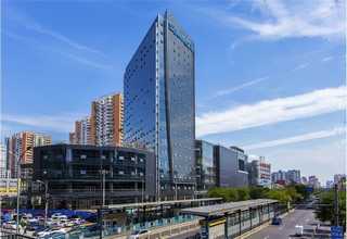 山东四条筋花型价位