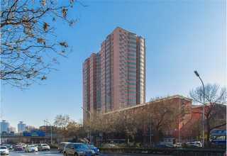 山东靠谱的玉米压片机哪家强